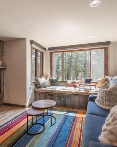 Modern living room with fireplace, TV, blue sofa, colorful striped rug, and large windows overlooking forest