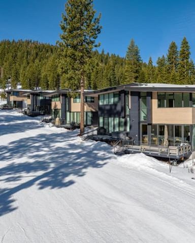 Modern cabin with large windows on snowy slope surrounded by tall pine trees and ski run
