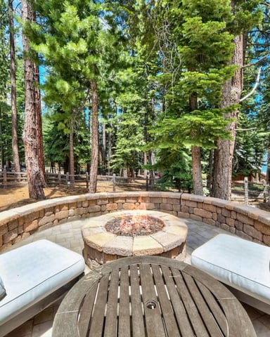 Outdoor fire pit seating area surrounded by tall pine trees in a forest setting
